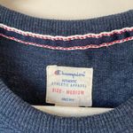 Champion Crew Neck Long Sleeve Pullover Blue Sweater Size Medium Photo 8