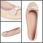 Ted Baker đź’• LONDONđź’• Sualli Flat Raffia Pink Bow Ballet Pumps 38 New Without Box Photo 1
