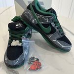 Nike SB Dunk Low Sneakers Photo 0