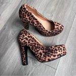 Torrid  Animal Print Heels size 6WW Photo 3