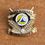 West Michigan Whitecaps Gold and Black Pin Photo 0