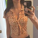 Princess Polly x MOTEL Mesh Stretchy Orange Floral Crop Top Photo 0