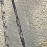 Jaclyn Smith FINAL MARKDOWN  chemise large Photo 2