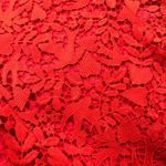 Boden USA Boden Womens Size 10 Brittany Lace Red Heart‎ Birds Flowers Dress NEW Photo 4