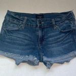 Celebrity Pink  Denim Distressed Hem Jean Shorts women’s size 7/28‎ blue zip fly Photo 1