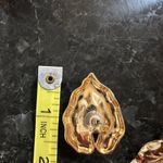 Target Gold Philodendron Leaf Earrings Photo 3