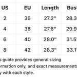 Micas  Black Ribbed Bodysuit - SEE MEASUREMENTS Photo 7