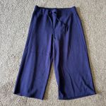 Spanx Womens Sweatpant Casual Soft Pants Navy Blue Size 2X Wide Leg Photo 1