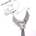 ALEX AND ANI Silver Tassel Heirloom Necklace Photo 0