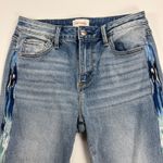 Driftwood High Rise Skinny Ankle Jeans Light Indigo Ikat Embroidered Size 26x28 Photo 4