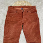 Patagonia Women’s Organic Cotton Fitted Corduroy Pants Low Rise in Sisu Brown 30 Photo 3
