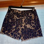 Dance & Marvel Cheetah Denim Shorts Photo 1