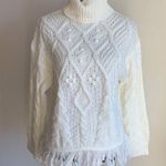 ZARA BBWM Fringe Hem Ivory Turtleneck Sweater Photo 0