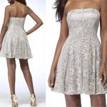 Cache  Nude Metallic Lace Strapless Event Dress Lined Shelf Bra New NWT $188 Photo 8