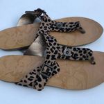 blowfish Malibu Women’s Animal Print Buckle Detail Sandals Sz 8 Photo 8