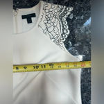 J.Crew  | Champagne w/ Black Lace Sleeves Vintage Vibes Dress Size 0 Photo 9