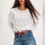 Free People  We The Free Now Or Never Denim Shorts Photo 2