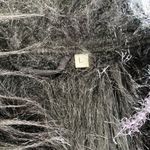 Resistol Black Fur Hook Vest, Size Large Photo 3