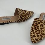 Steve Madden Trace Mule Womens Shoes Sz 6M Leopard Festival Indie Fur Safari Photo 11