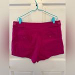 Anthropologie  Maeve Colette Pink Shorts 14 Photo 2
