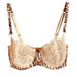 Victoria's Secret Dream Angel Bra Photo 0