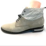 FREDA SALVADOR GRAY LEATHER & SNAKESKIN Photo 4