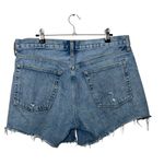 AGOLDE  Parker Long Denim Shorts Women’s Size 30 Swapmeet Distressed High Rise Photo 4