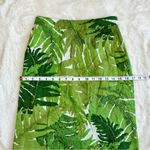 Anthropologie Vanessa Virginia Talipot Green Palm Leaf Pencil Skirt, 0P Photo 4