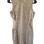 Dress the Population Ryan Sequin Dress (Altered) Photo 2