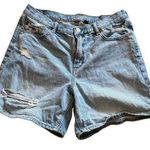 American Eagle  Outfitters (AEO) Relaxed Jean Short Photo 0