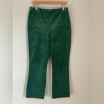 Tuckernuck  Green Corduroy Ashford Pants Size XL Photo 1