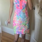 Lilly Pulitzer Sleeveless Dress Photo 0