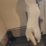 Torn By Ronny Kobo  Yuna Dress Size M Small Flaw On The String Photo 5