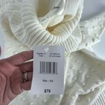 Willow Glenn Ivory Sweater Dress XS Turtleneck Long Sleeve Knit Textured Dot NWT White Photo 5