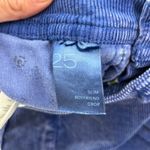 Anthropologie Anthro Pilcro & The Letterpress Slim Boyfriend Crop Blue Corduroy Pants 25 Photo 7