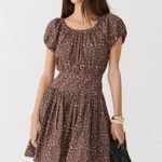 J.Crew Drop-waist cotton poplin mini dress in mocha floral 4 Photo 0
