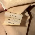 Ann Taylor Beautiful  hombre skirt Photo 3