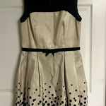 Taylor Dress with Polka Dots and Mesh Top Photo 0