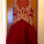 Embroidered Fit & Flare Dress Red Size XL Photo 0