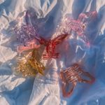 Large Butterfly Hair Claw Clips Photo 10