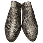 Splendid  Size 6.5 Hailee Faux Vegan Leather Snake Python Slip On Heels Mules Photo 3