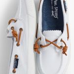 Sperry White s Photo 0