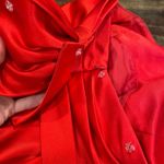 Bill Levkoff Red Dress Photo 4