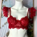 Red Pink Sheer Lace Embroidered Floral Bra Ruffle Adjustable Straps Size XL Photo 0