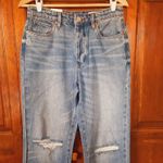 BLANK NYC BLANK NUC THE HOWARD LOOSE FIT JEANS SZ 27 Photo 4