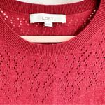 Loft  Burnt Red Puff Shoulder Crew neck Sweater sz XS Photo 2
