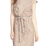 Tadashi Shoji Greta Lace Cocktail Dress in Sand Beige Size 8 Photo 1
