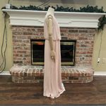 Adrianna Papell long nude/blush formal dress with silvertone hardware / 12 / NWT Photo 6
