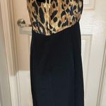 The Limited  Black leopard print dress Photo 1