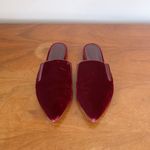 Jenni Kayne • Velvet Mules slides slip on flats pointed toe Bordeaux maroon Red Size 5 Photo 2